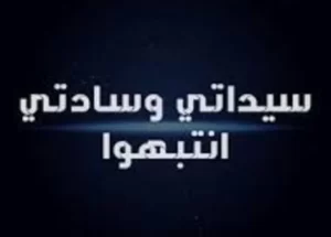 سيداتي وسادتي بقلم: صفاء عبد المنعم أبو السعود 